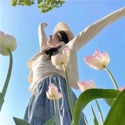 探长薇拉第十二季