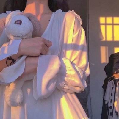 精灵宝可梦：比克提尼与黑之英雄捷克罗姆